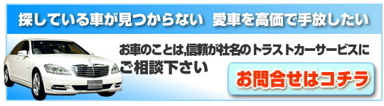 長野県軽井沢町内で中古車をお探しならトラストカーサービスにお任せ下さい 車お探し専門店トラストカーサービス 公式サイト