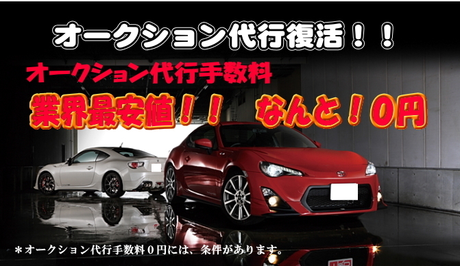 長野県軽井沢町内で中古車をお探しならトラストカーサービスにお任せ下さい 車お探し専門店トラストカーサービス 公式サイト